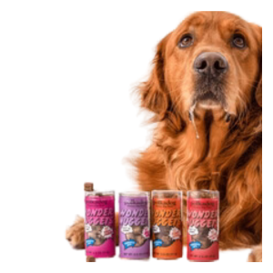 Polka Dog Mini Tube Wonder Nuggets Apple & Pork Soft & Chewy Dog Treats 2.5oz