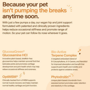 Prospect Pet Wellness Premium Liquid Boost Glucosamine Supplement for Dogs, 16 oz - Mutts & Co.