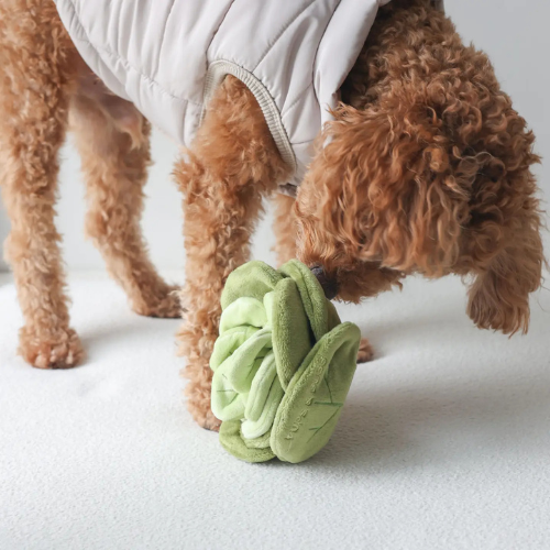 Pups & Bubs Cabbage Enrichment Nose-Work Toy