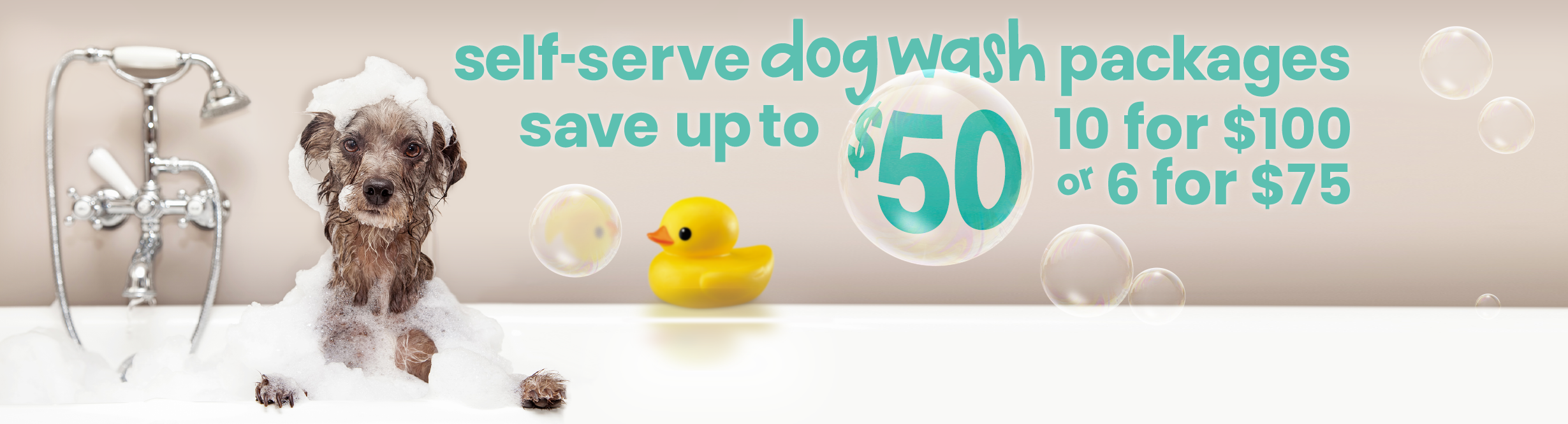 Pet supplies plus self serve dog wash cost hotsell