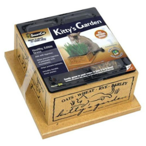 SmartCat Kitty's Garden Grass Box - Mutts & Co.
