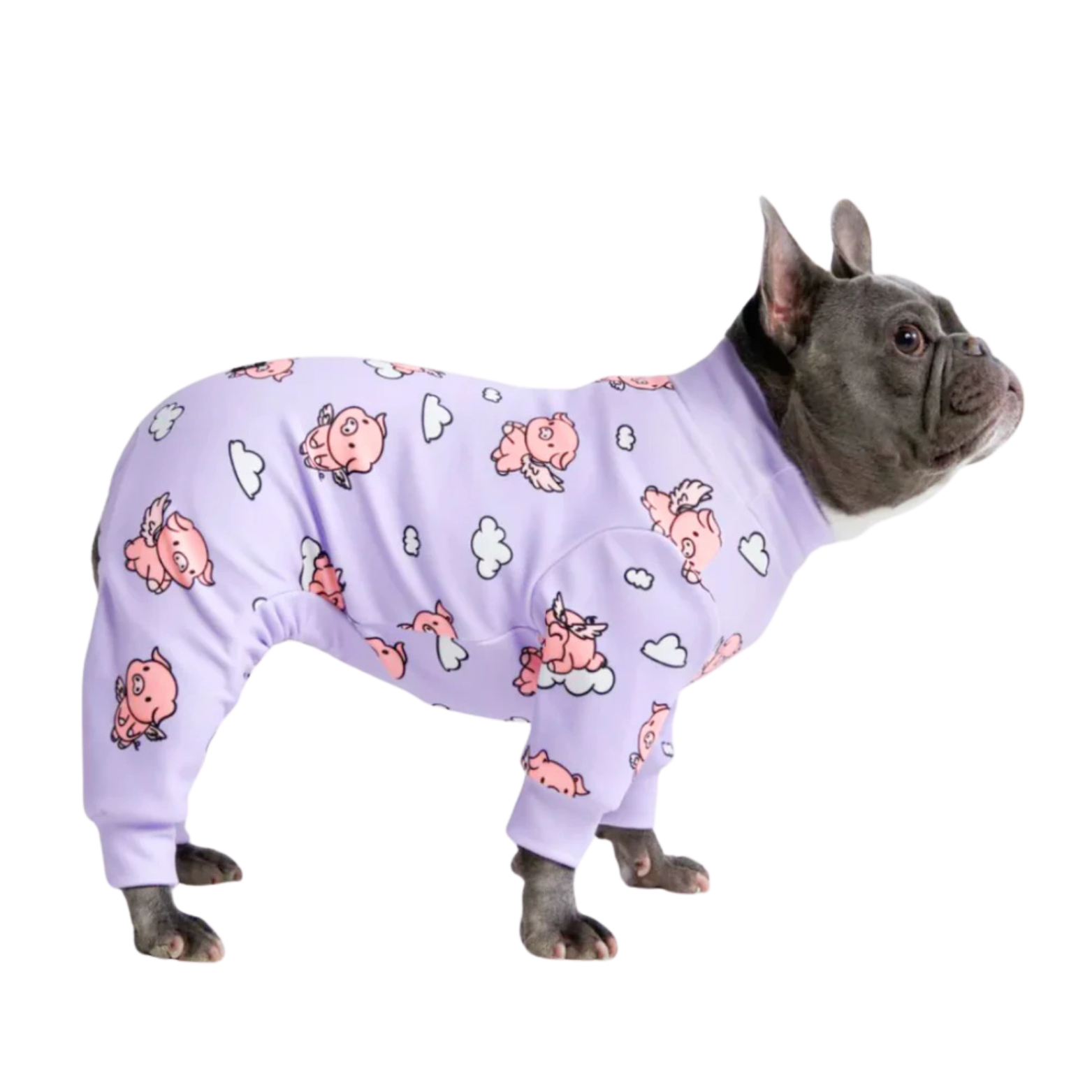 Spark Paws Dog Pajama When Pigs Fly