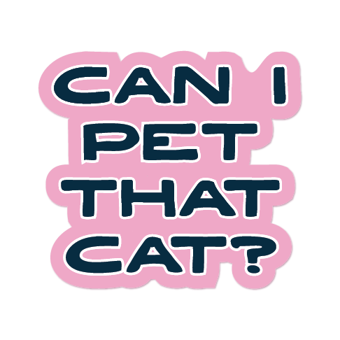 Text 'CAN I PET THAT CAT?' on a pink background