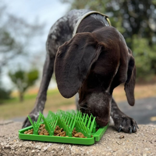 Tall Tails Grass Foraging Mat for Dogs