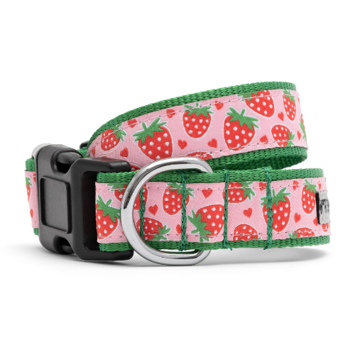 The Worthy Dog Strawberry Dog Collar