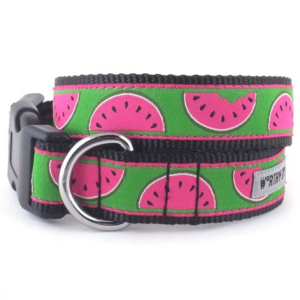 The Worthy Dog Watermelon Green Dog Collar - Mutts & Co.