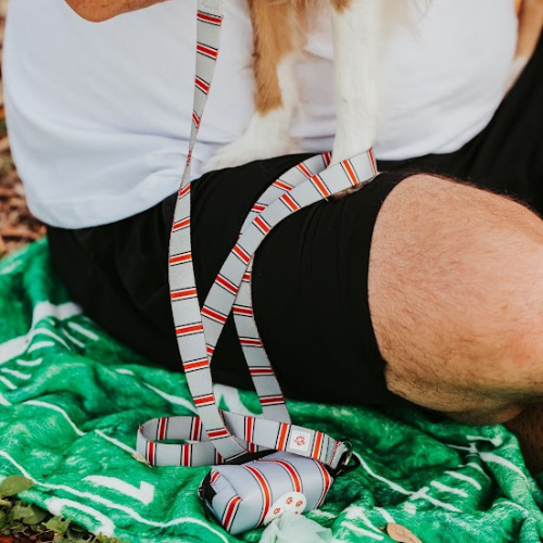 Top Rocks Helmet Stripe Pet Leash