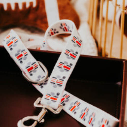 Top Rocks OSU Helmet Stripe Paw Print Leash