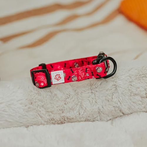 Top Rocks Red Brutus With Paws & Bones Pet Collar
