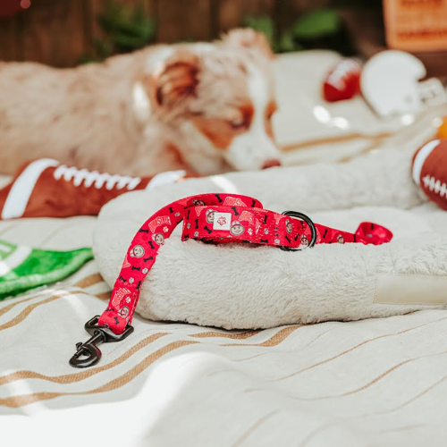 Top Rocks Red Brutus With Paws & Bones Pet Leash