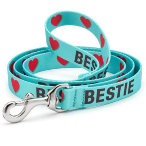 Up Country Bestie Printed Dog Lead 5 Foot - 1" Wide - Mutts & Co.