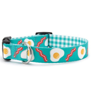 Up Country Brunch Bunch Printed Dog Collar