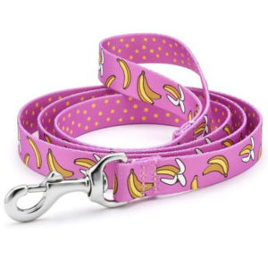 Up Country Go Bananas Printed Dog Lead 5 Foot - 1" Wide - Mutts & Co.