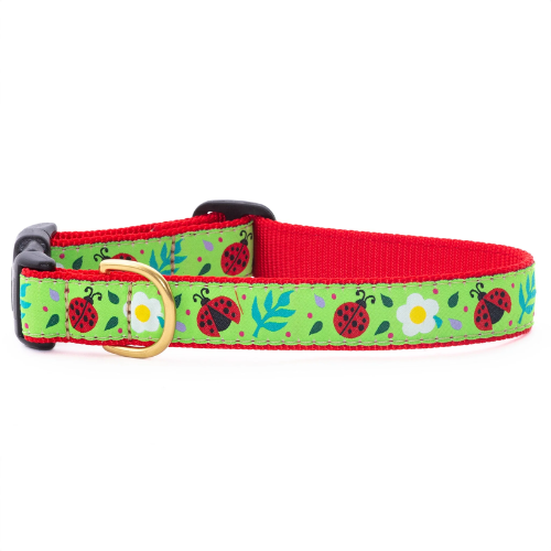 Up Country Ladybug Dog Collar