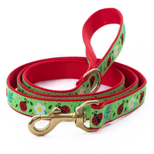 Up Country Ladybug Dog Lead