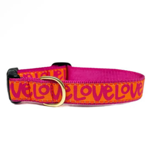 Up Country Love Dog Collar