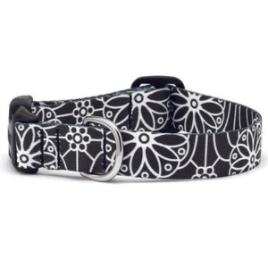 Up Country Mehndi Printed Dog Collar - Mutts & Co.