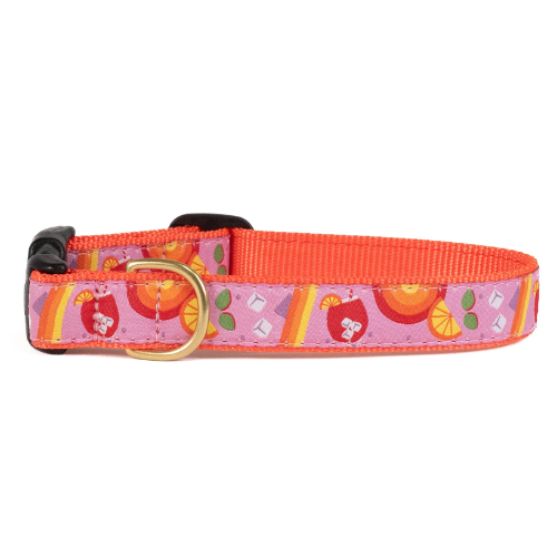 Up Country Spritz Dog Collar