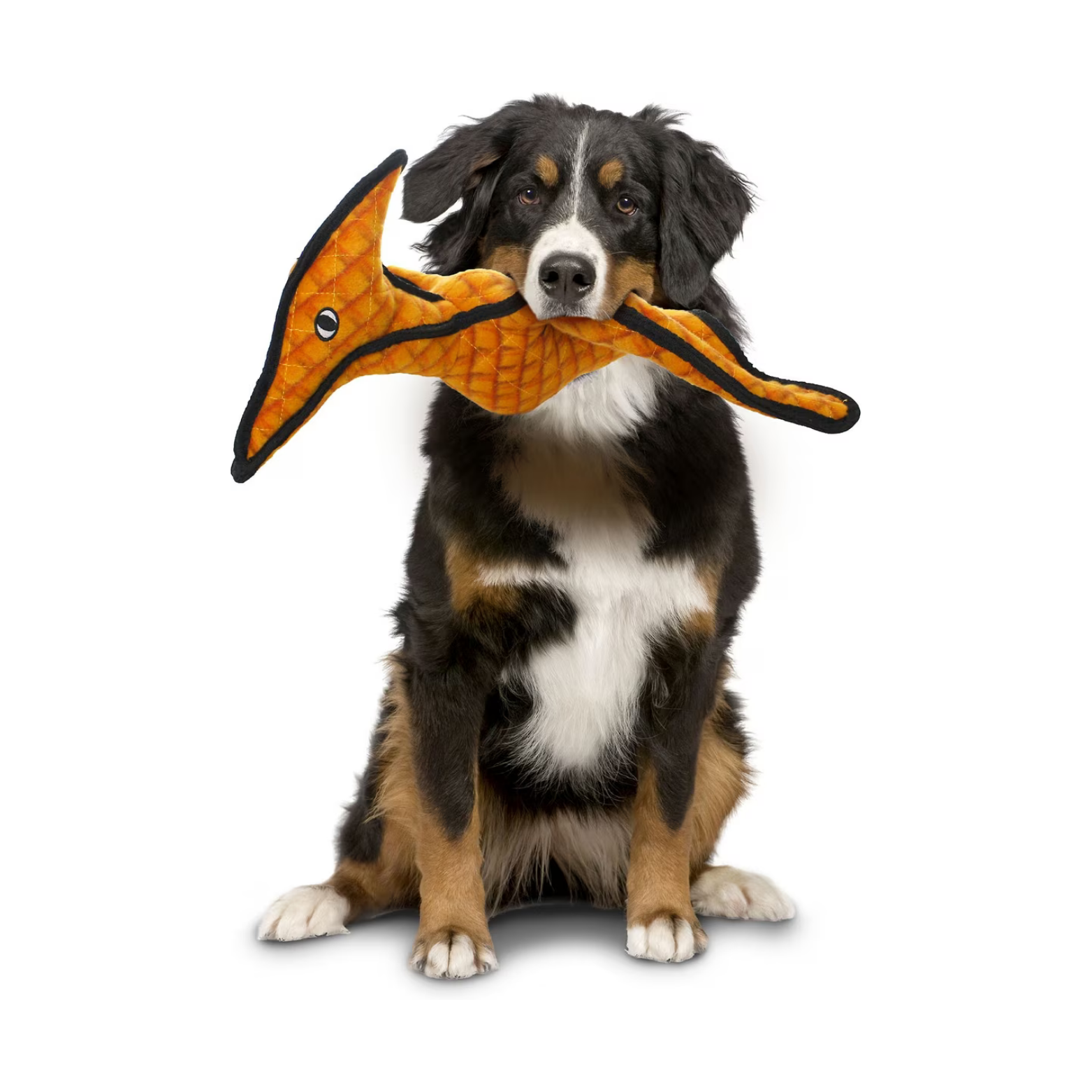 VIP Tuffy's Dinosaur Series Pterodactyl