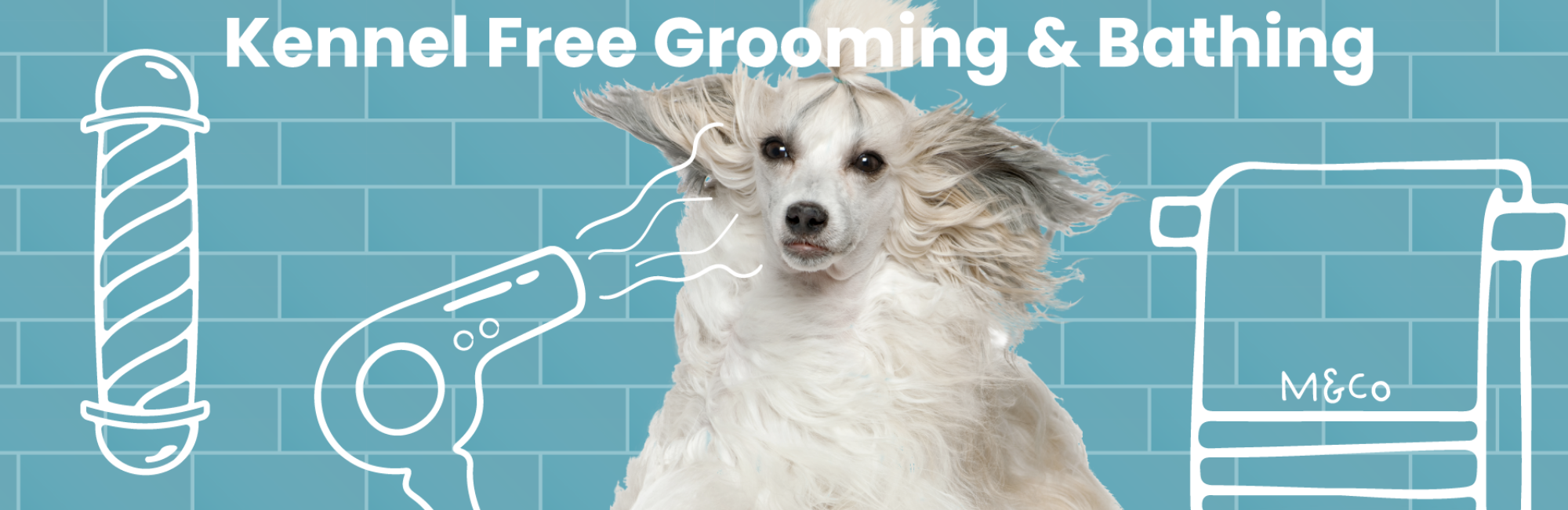 Mutts grooming deals