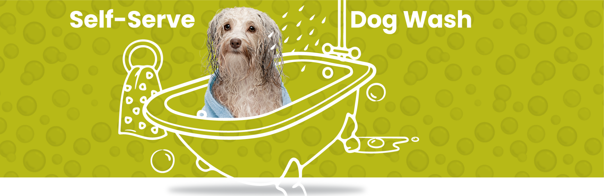 Feeders supply hotsell pet wash cost