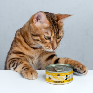 Weruva Cats in the Kitchen Chicken Frick 'A Zee Chicken Recipe Au Jus Canned Cat Food - Mutts & Co.