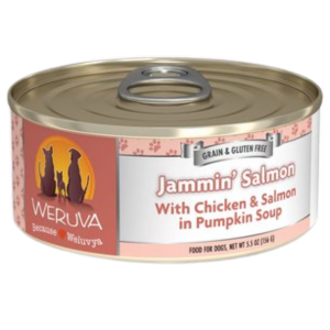 Weruva Jammin' Salmon with Chicken & Salmon in Pumpkin Soup Canned Dog Food - Mutts & Co.