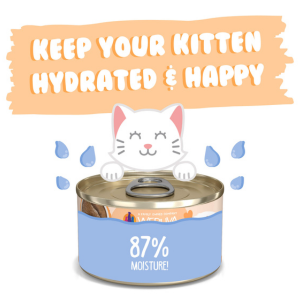 Weruva Kitten Tuna & Salmon Puree Recipe Canned Cat Food - Mutts & Co.
