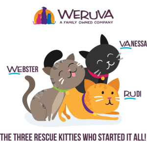 Weruva Truluxe Quick 'N Quirky With Chicken & Turkey In Gravy Canned Cat Food