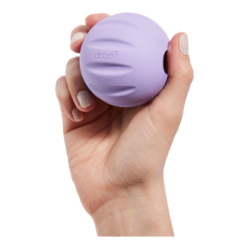 Woof Pet Forager Flyball Dog Toy Single