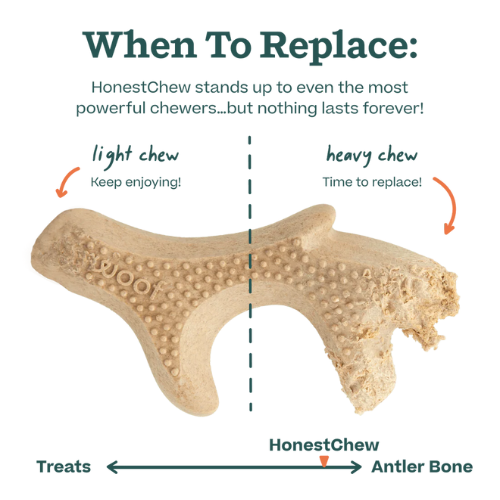 Woof Pet HonestChew, Antler Dog Chew