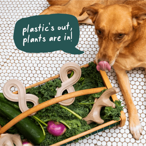 Woof Pet HonestChew, Antler Dog Chew