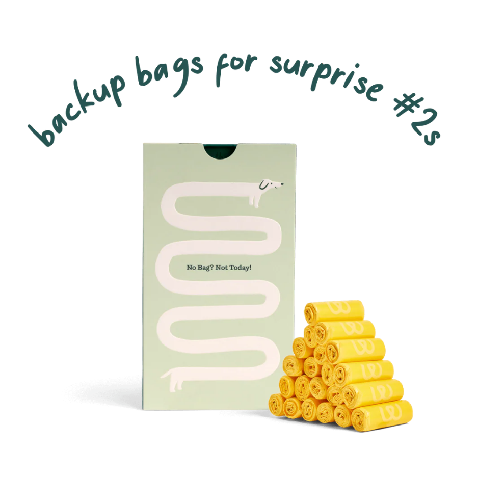 Packaging of yellow backup bags with a green box labeled 'No Bag? Not Today!' on a white background.