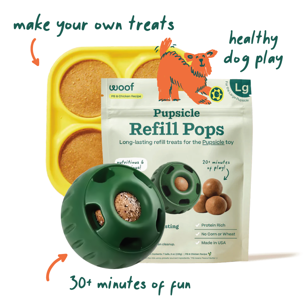 Woof Pupsicle Chicken Enrichment Dog Toy,Treat and Tray Bundle Large