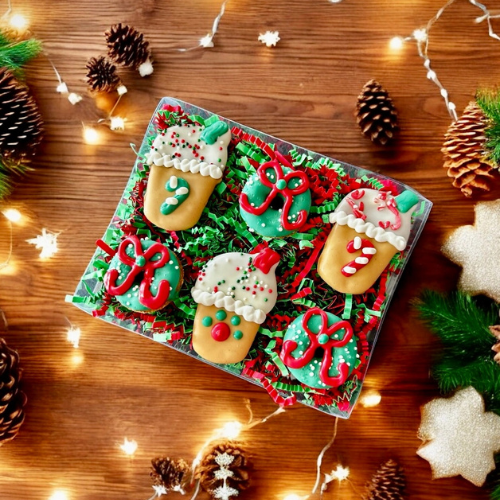 YumYum4Dogs Mini Merry Mint Mocha Dog Treats Gift Box