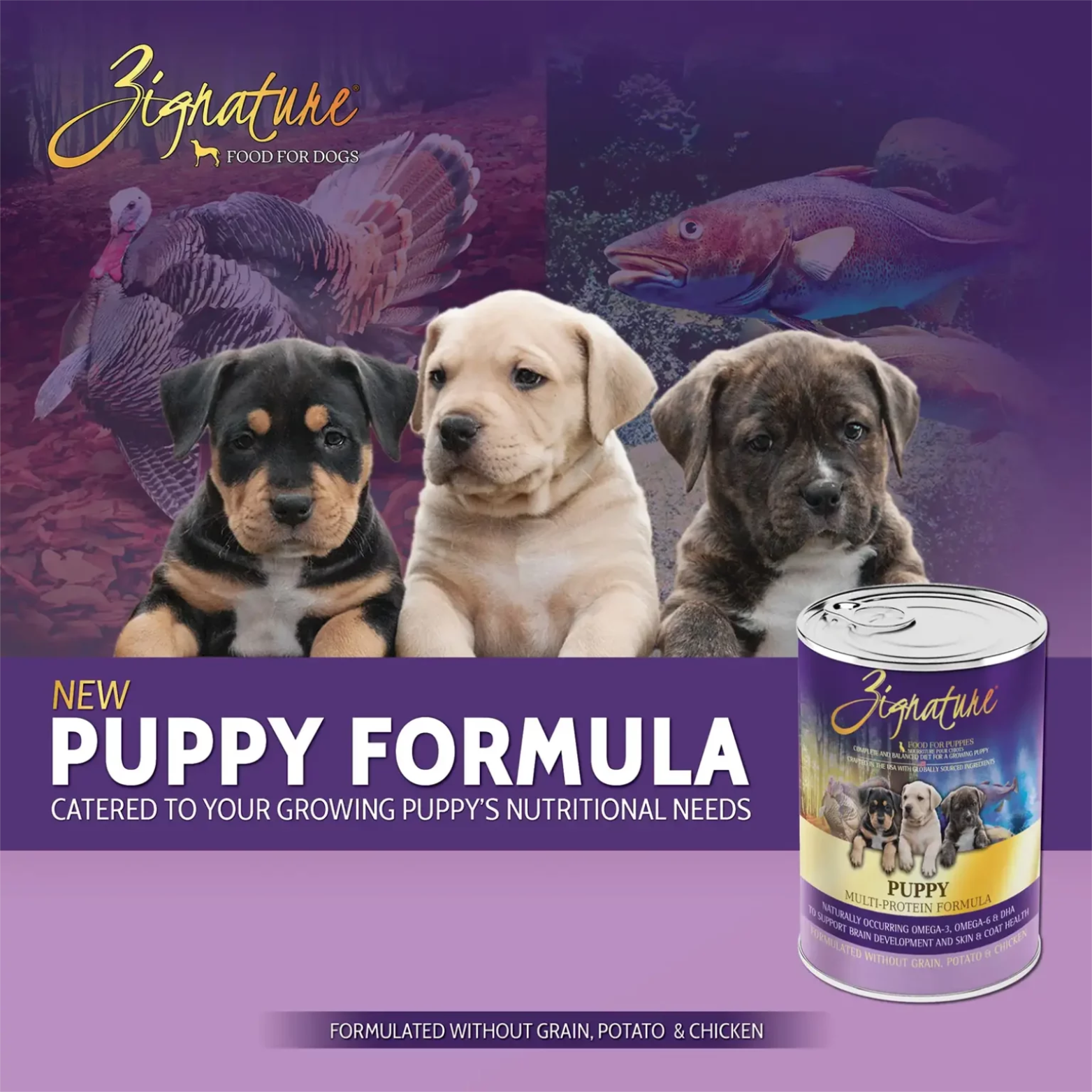 Zignature Puppy Limited Ingredient Formula Canned Dog Food 13oz