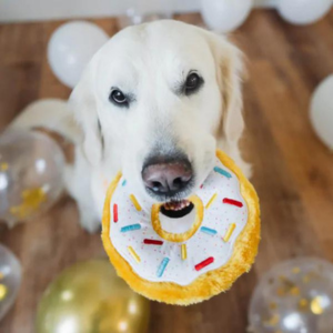 ZippyPaws Donutz Dog Toy, Birthday