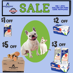 Target dog food clearance sale