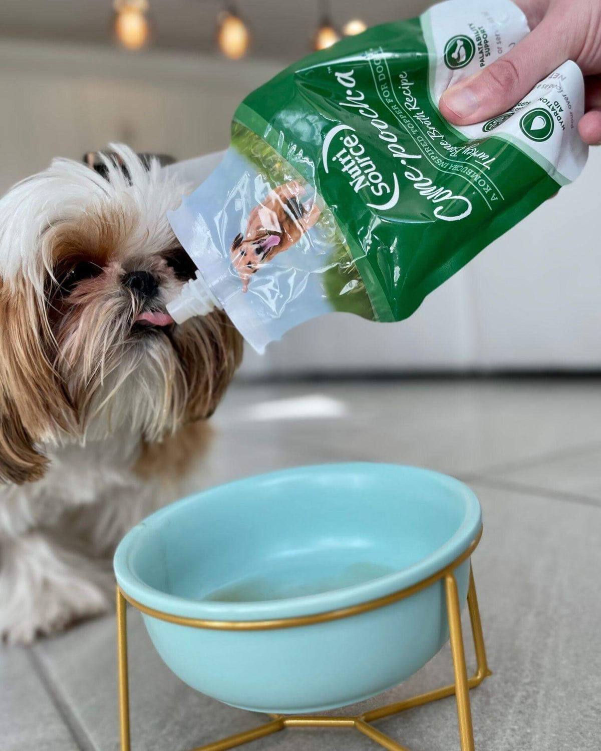 Dog Supplies Columbus Ohio Mutts & Co Pet Supply