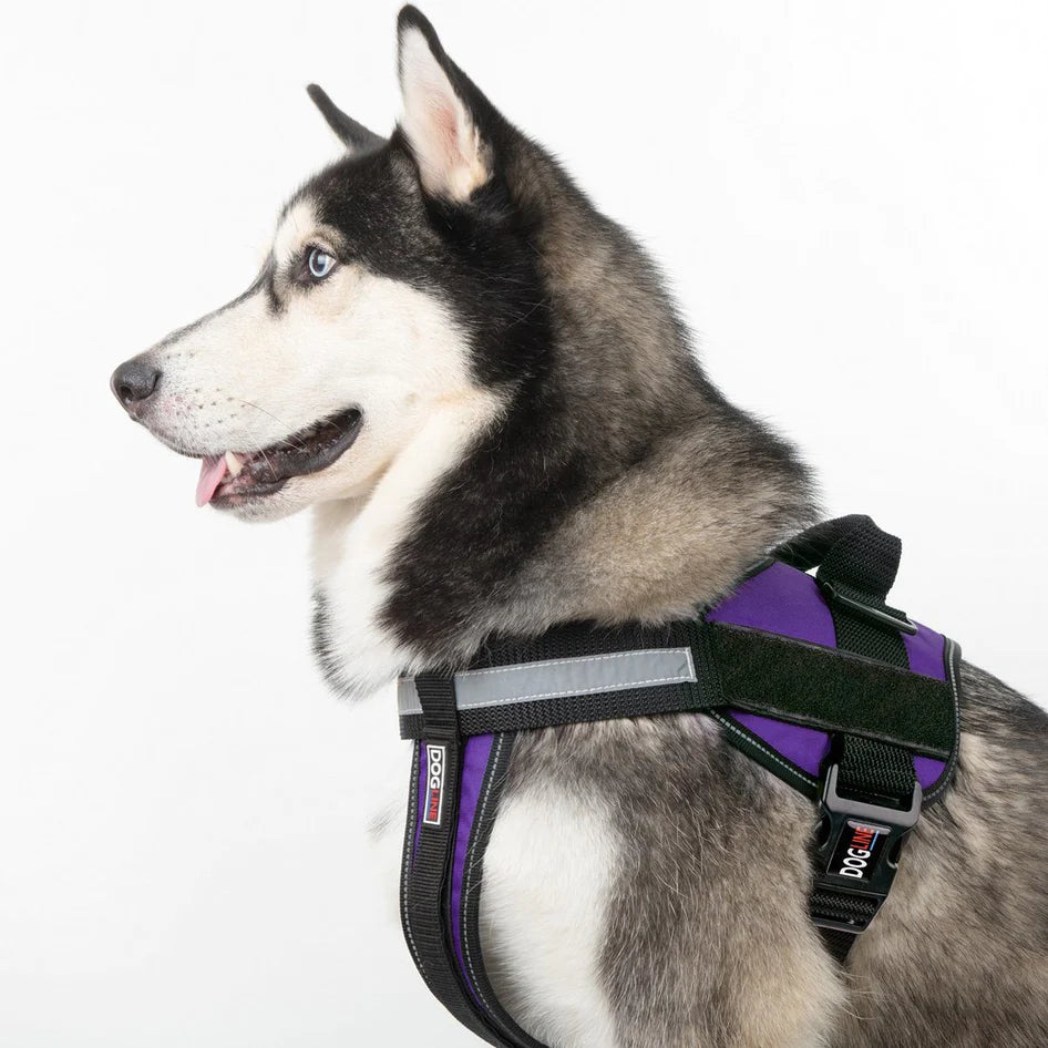 Dogline Unimax Multi-Purpose Dog Harness Purple - Mutts & Co.