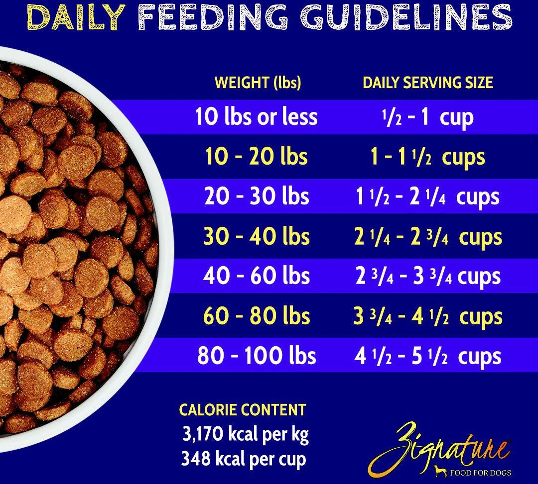 Zignature pork online formula dog food