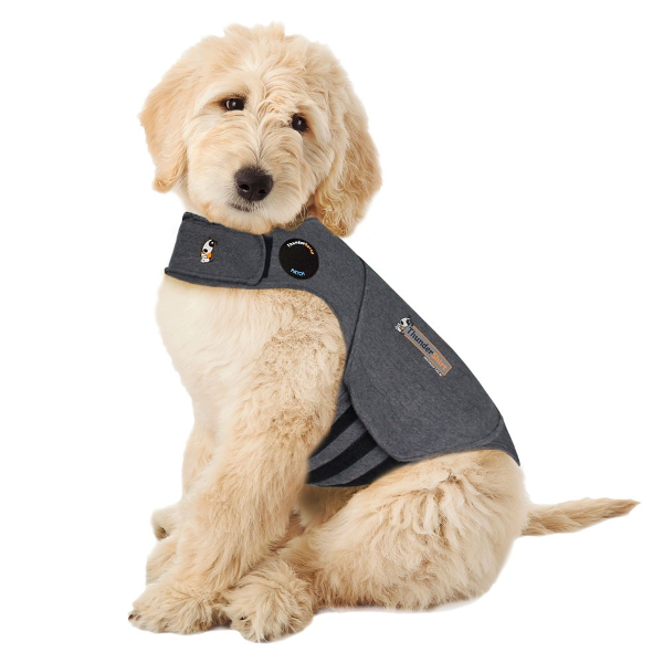 Thunderworks ThunderShirt Anxiety & Calming Solution for Dogs - Mutts & Co.