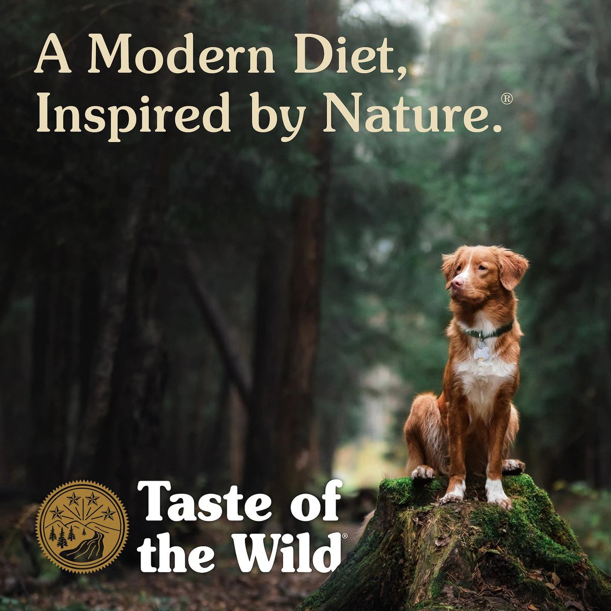 Taste Of The Wild Ancient Prairie Dog Food - Mutts & Co.