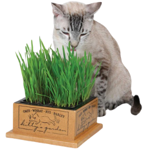 SmartCat Kitty's Garden - Mutts & Co.
