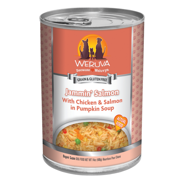 Weruva Jammin' Salmon with Chicken & Salmon in Pumpkin Soup Canned Dog Food - Mutts & Co.