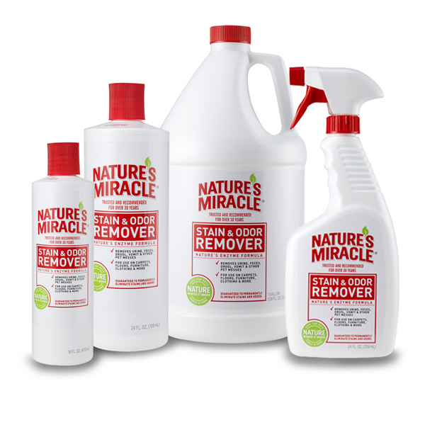 Nature's Miracle Stain & Odor Remover Spray - Mutts & Co.