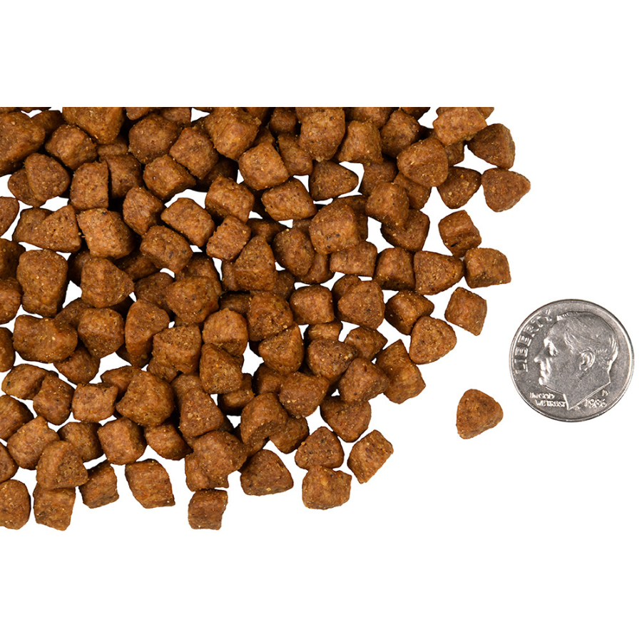 Fromm Four Star Hasen Duckenpfeffer Cat Food