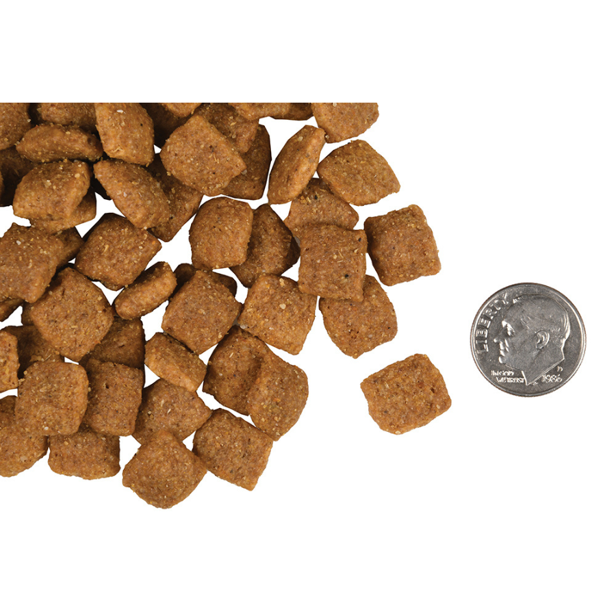 Fromm gold holistic senior dog food outlet