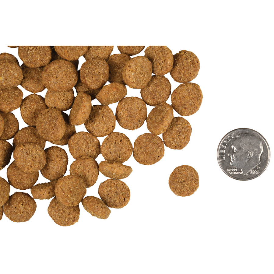 Fromm dog sales food weight control