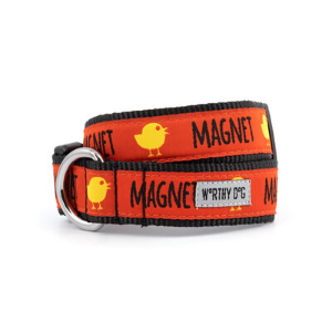 The Worthy Dog Chick Magnet Dog Collar - Mutts & Co.